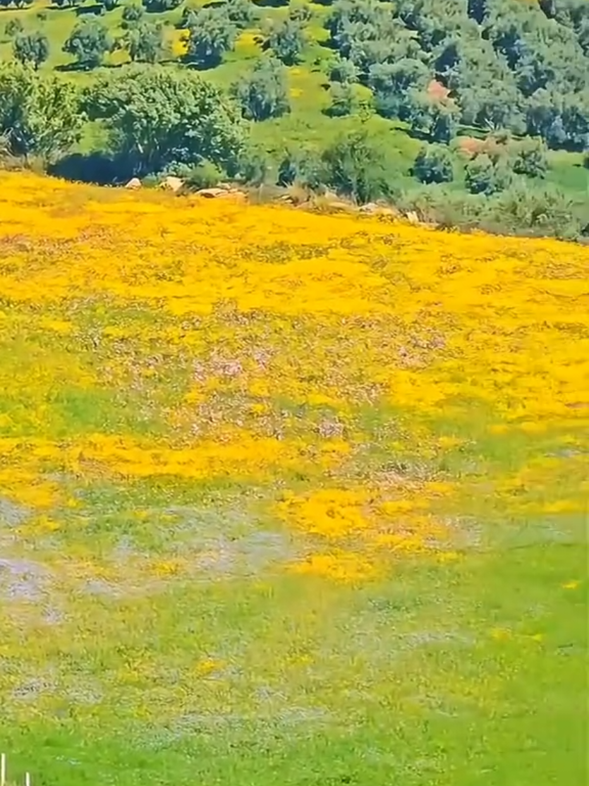 @أثر