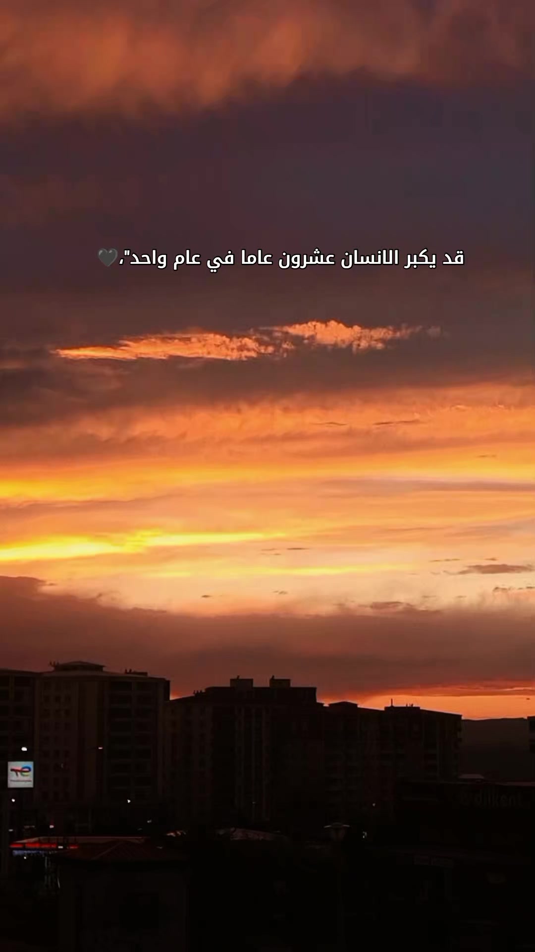 @🇹🇷🕊بنت الموصل 👑🇮🇶
