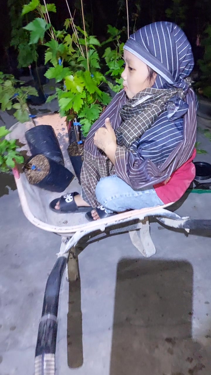 @Nauranursery