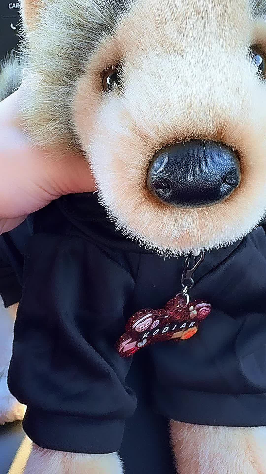 @Fl00fPawz✝️🐾