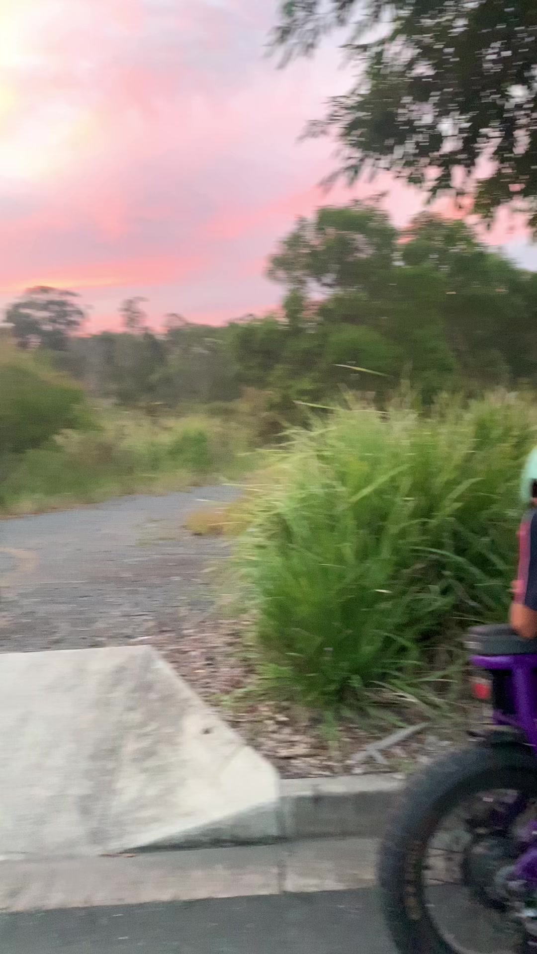 @That purple Dirodi