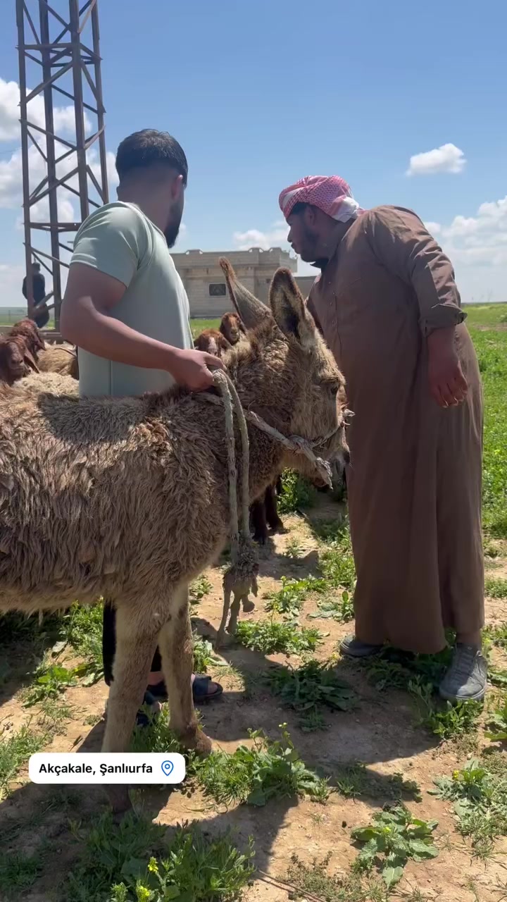 @فانز خليل وعلاء🤎&rdquo;