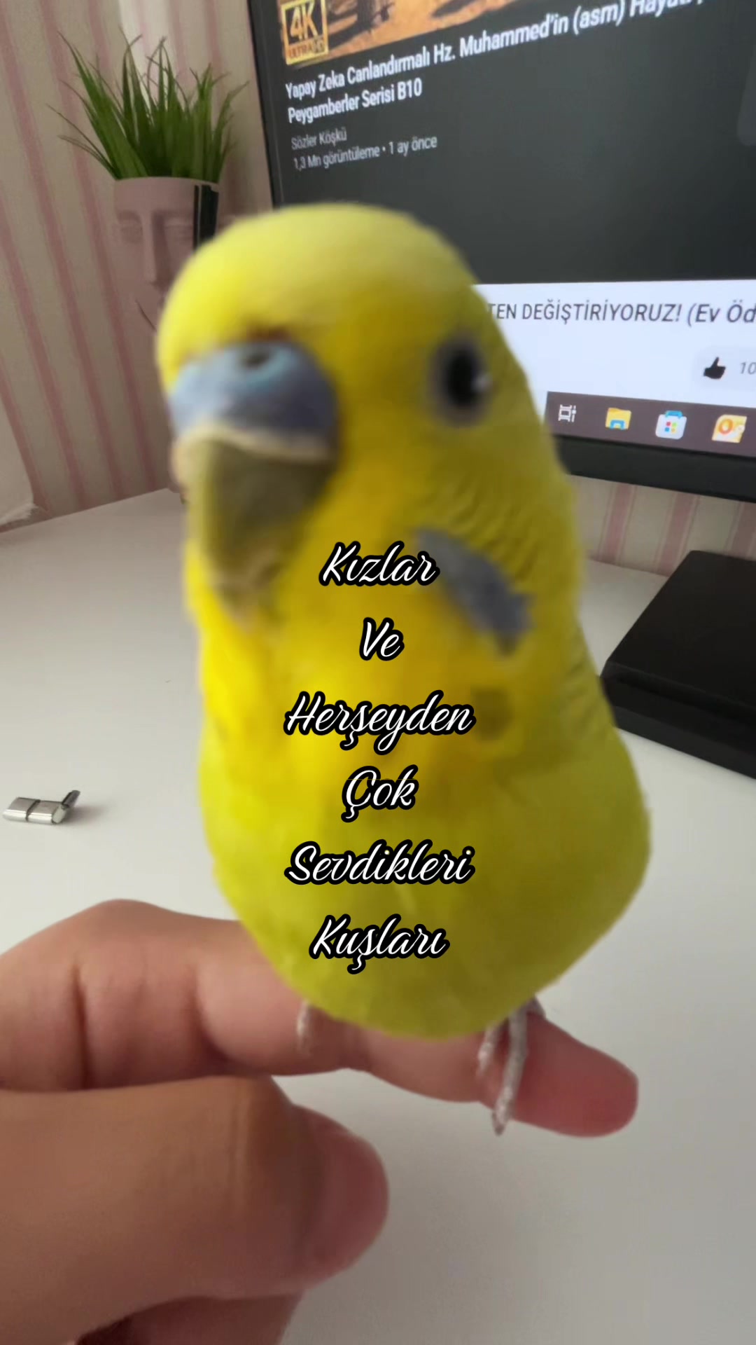 @&Ouml;yk&uuml;&uuml;&uuml;🪩