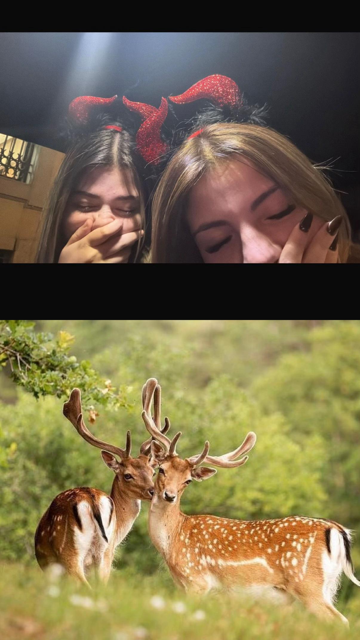 @FG&sup2;CS