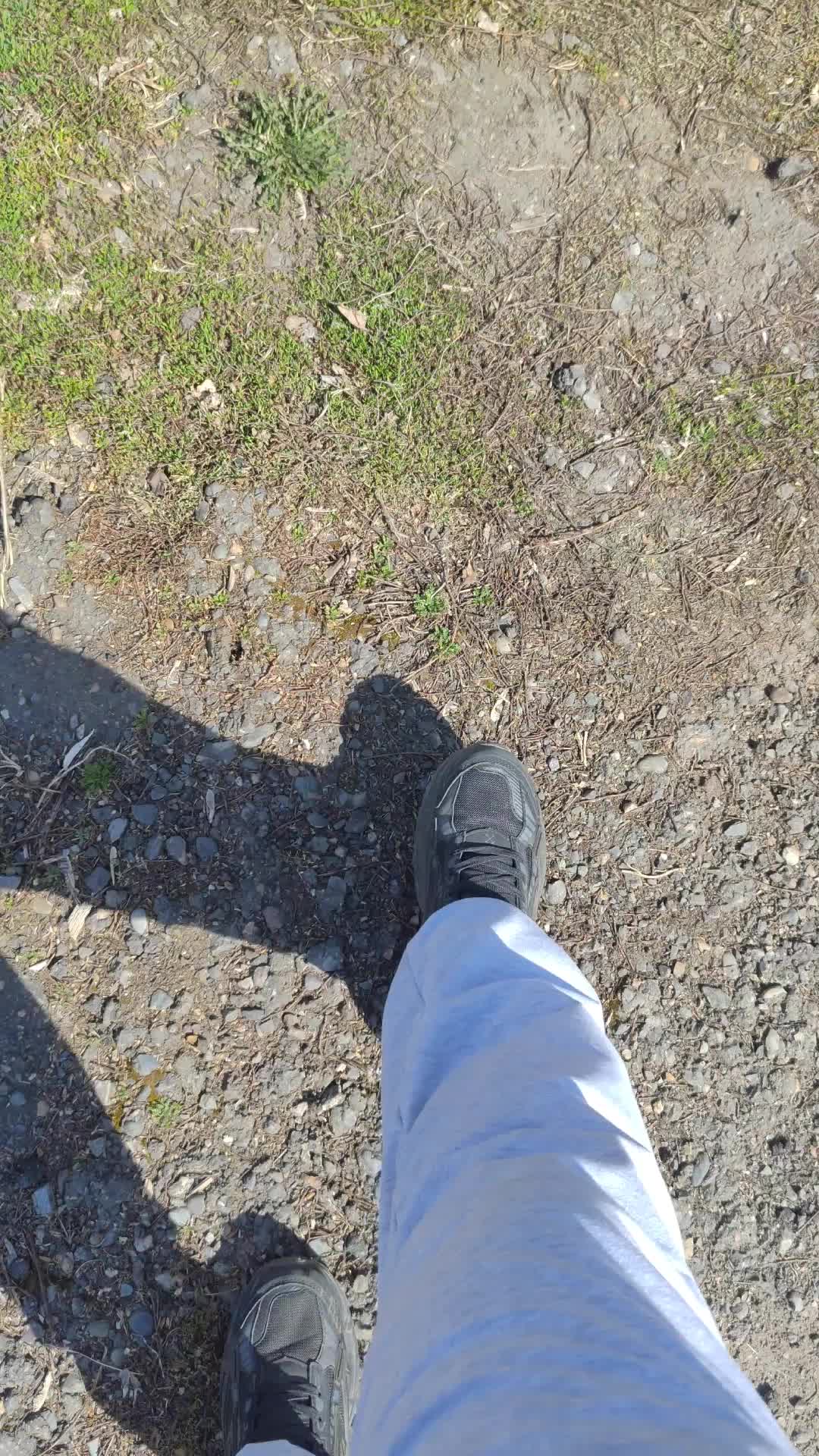 @Haimasik
