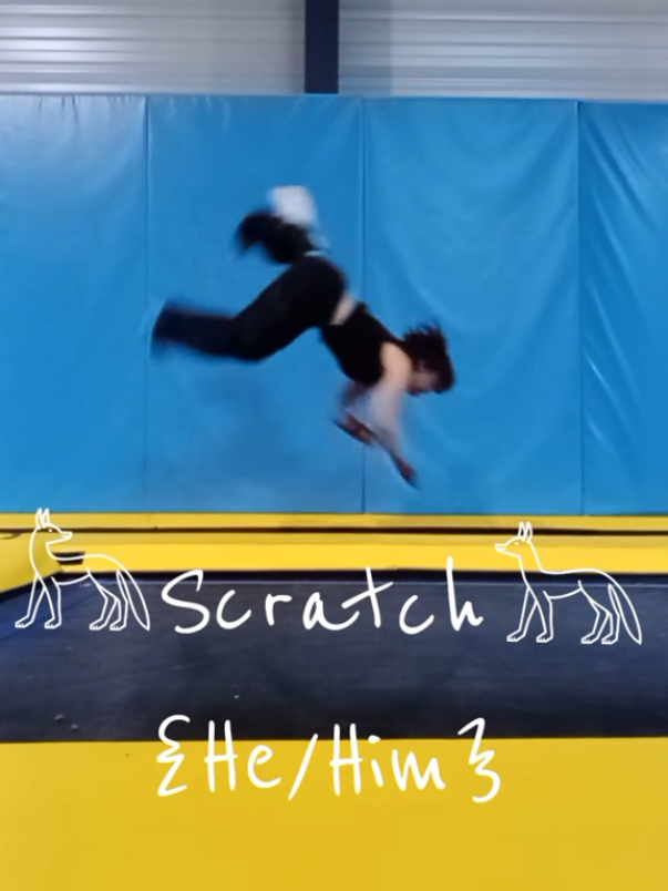@𓃦{Scratch}𓃥