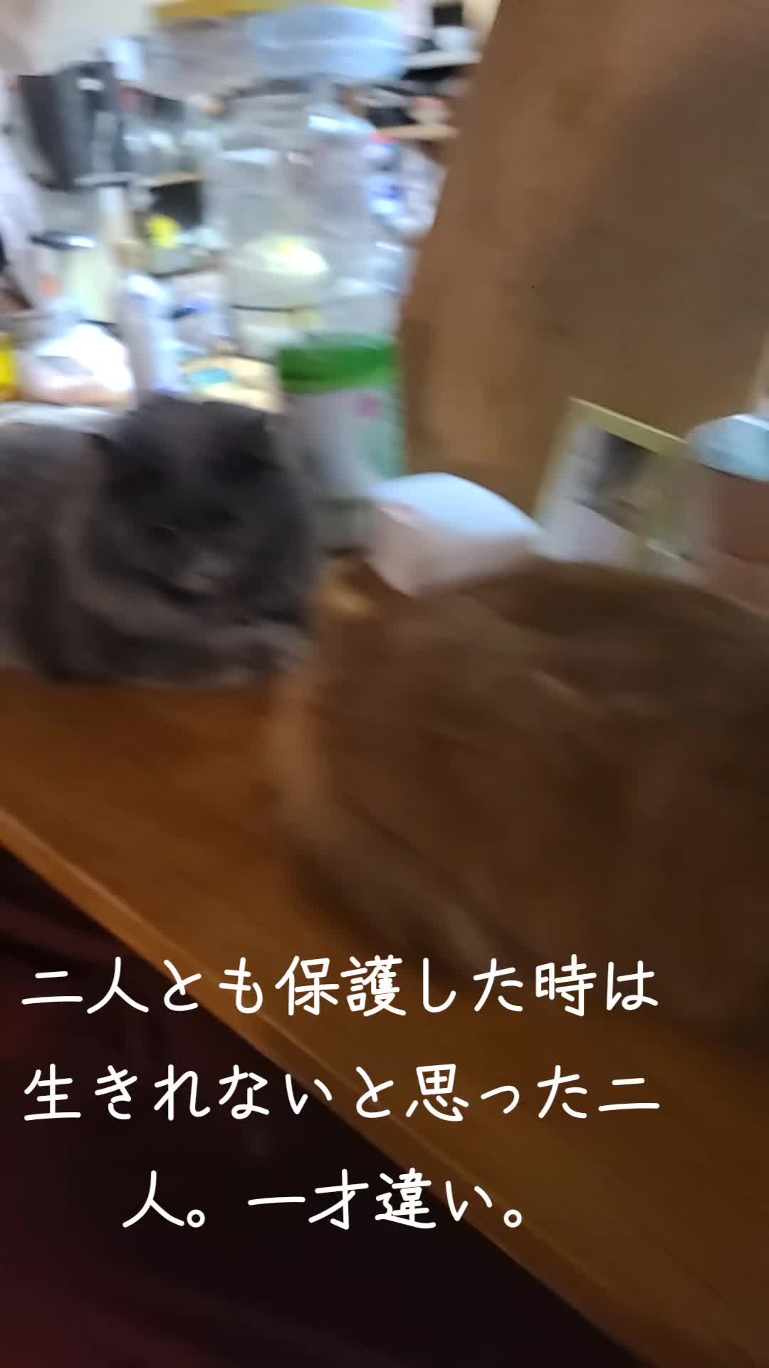 @沙亜代
