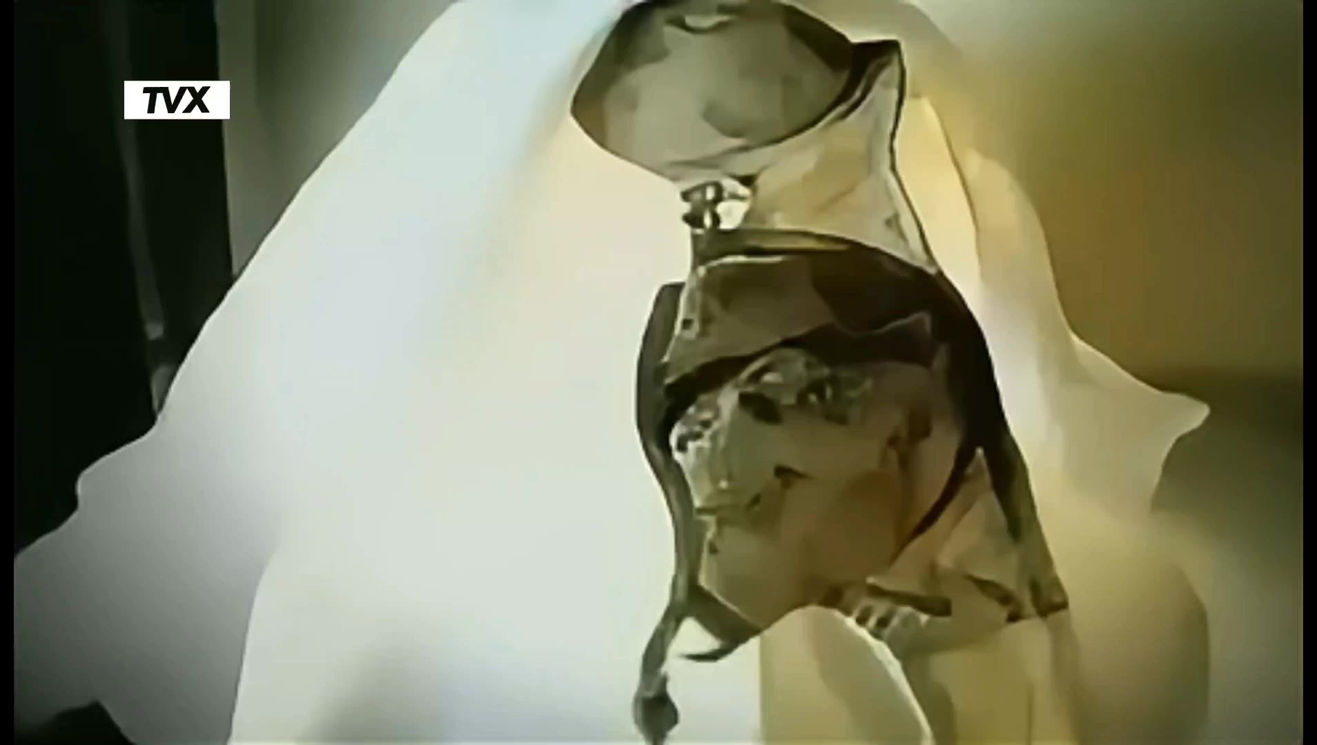 @𝙏𝙑𝙓