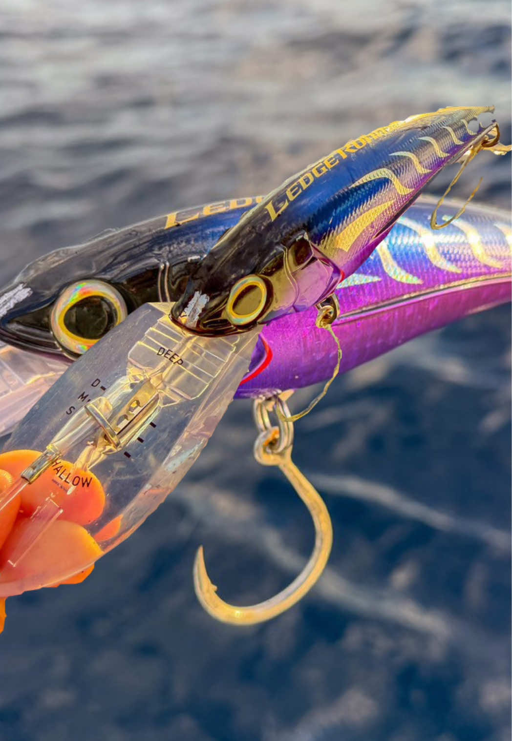 @Tackle World Australia