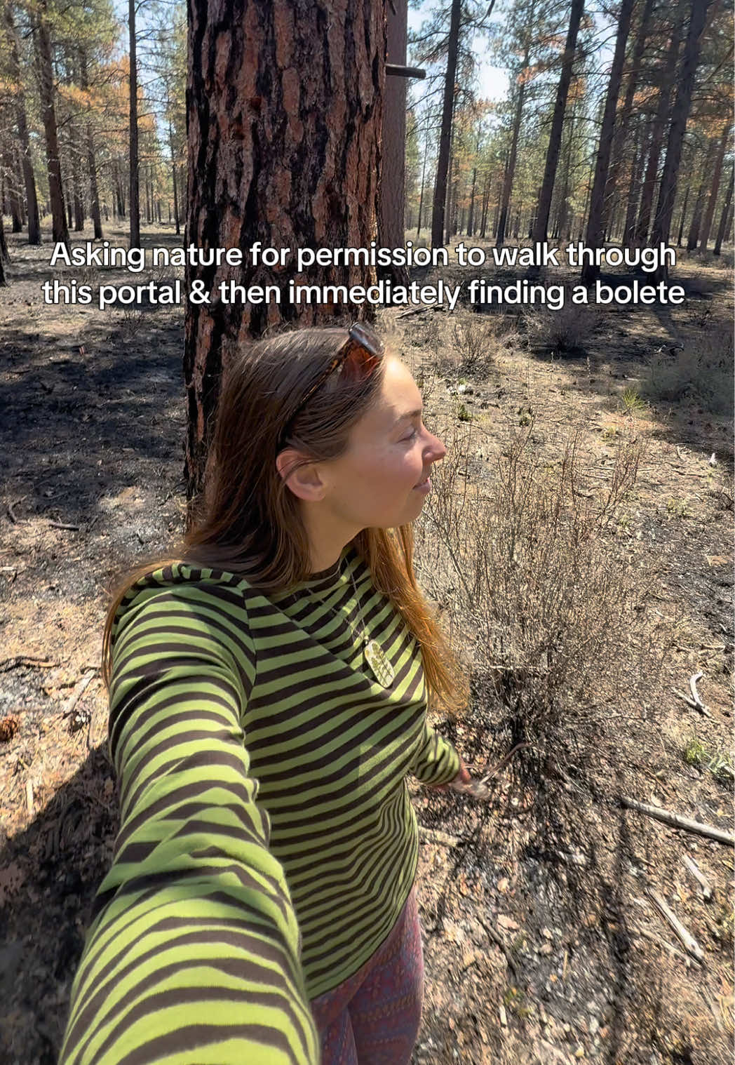 @audg🍄🐛🦋