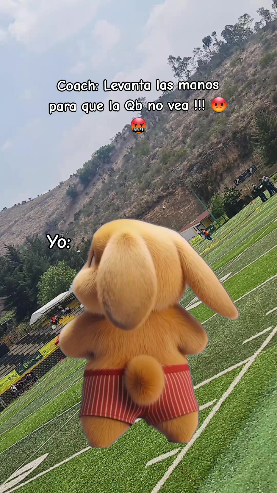 @Breenda Mora