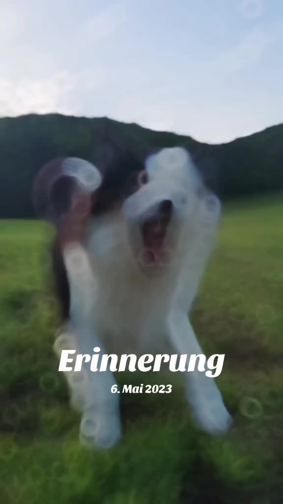@Zahnfee