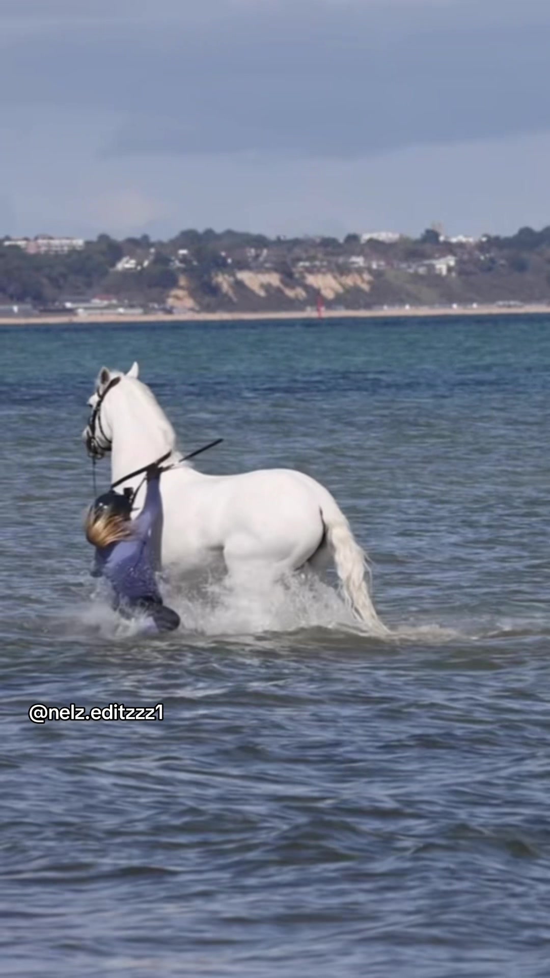 @Naomi🐴✌️(Freya’s version )