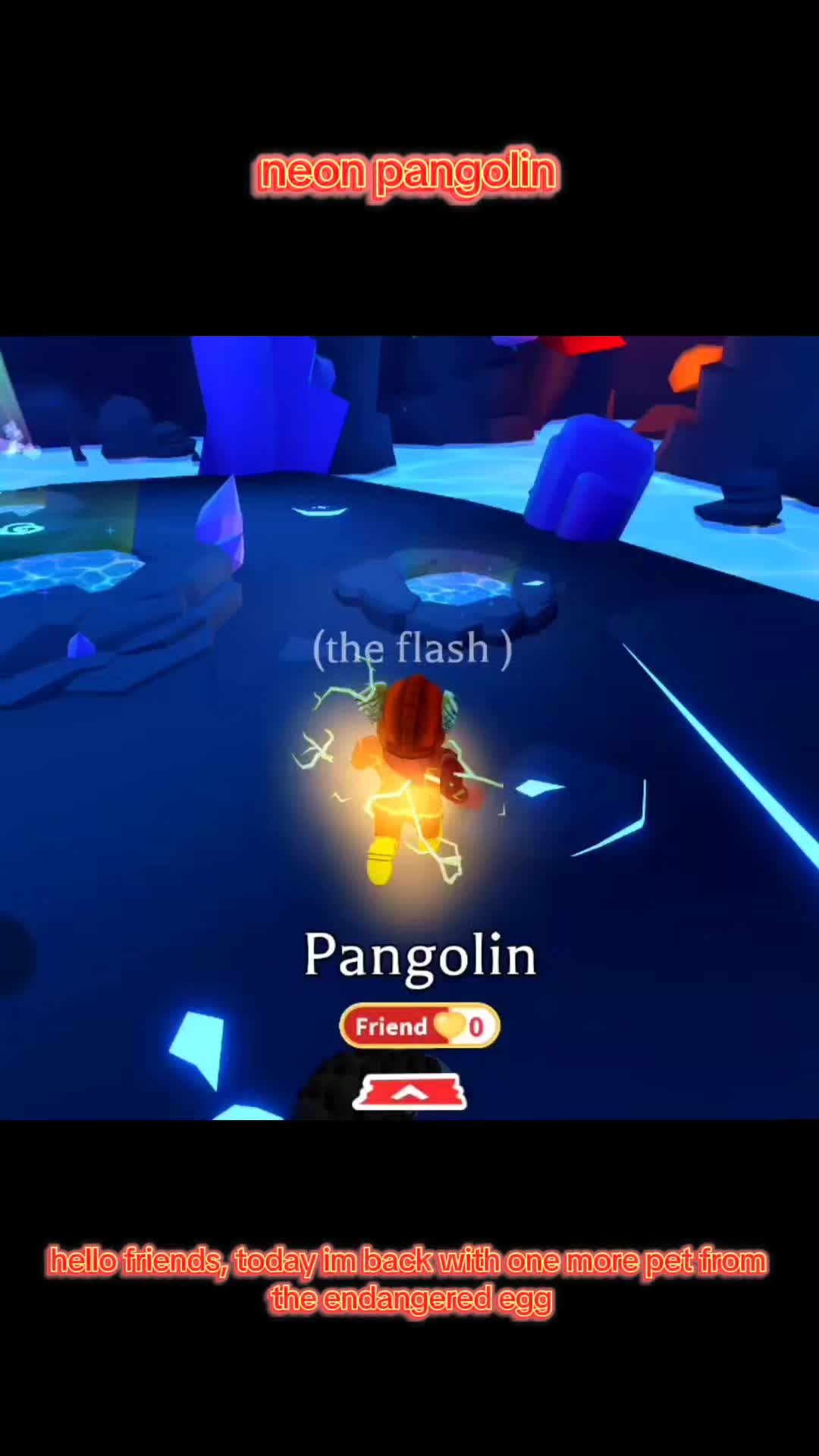 @the_flash