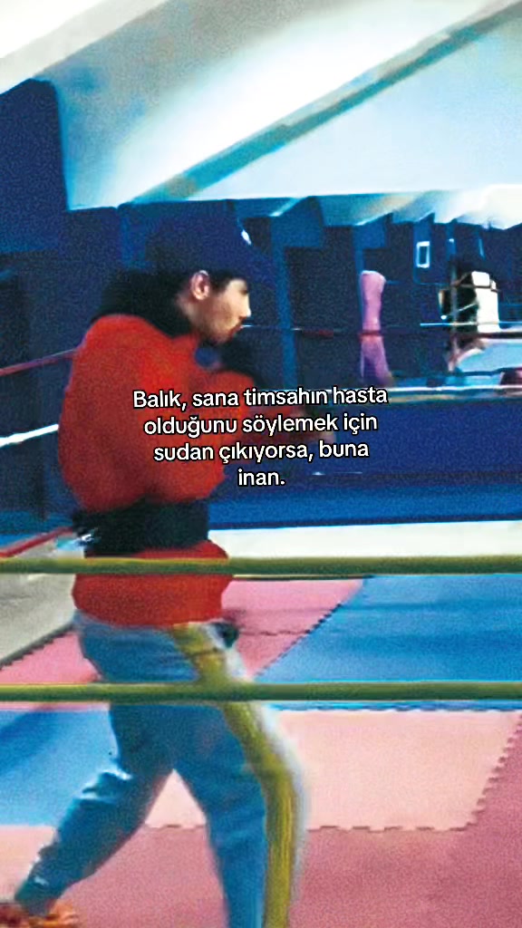 @Talat yağlı 🕊️