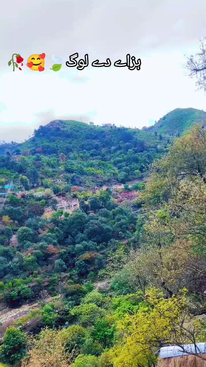 @😎*|Bilal|&deg;|hazarvi |*🥰🥀