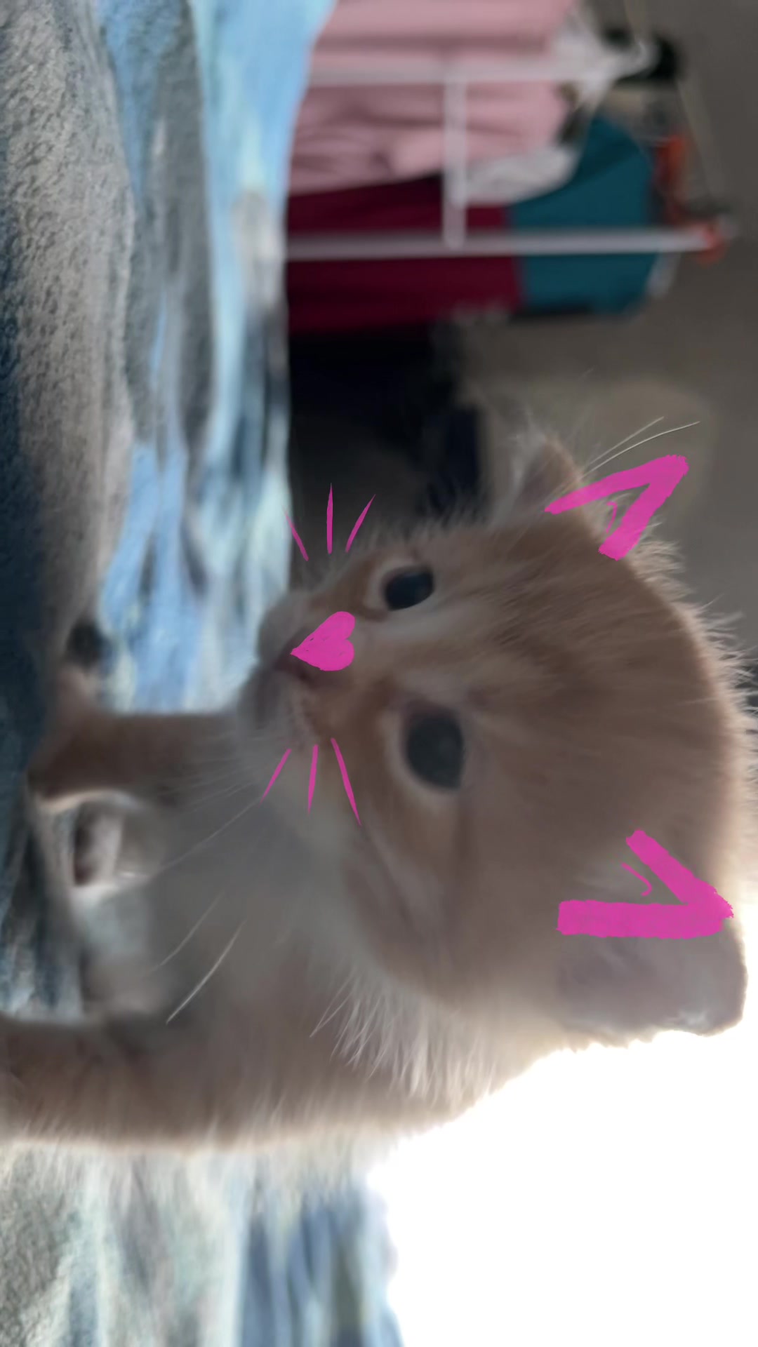 @kriskz