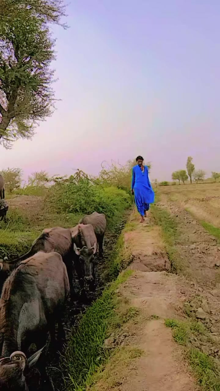 @KailashBheel