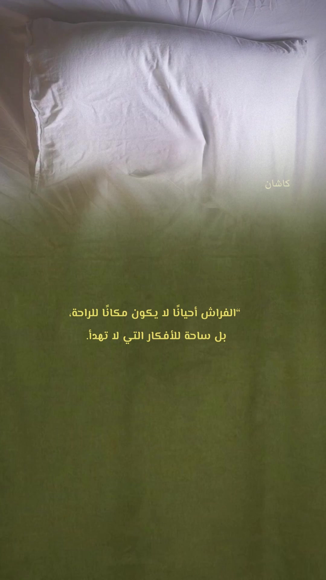 @kashin_02
