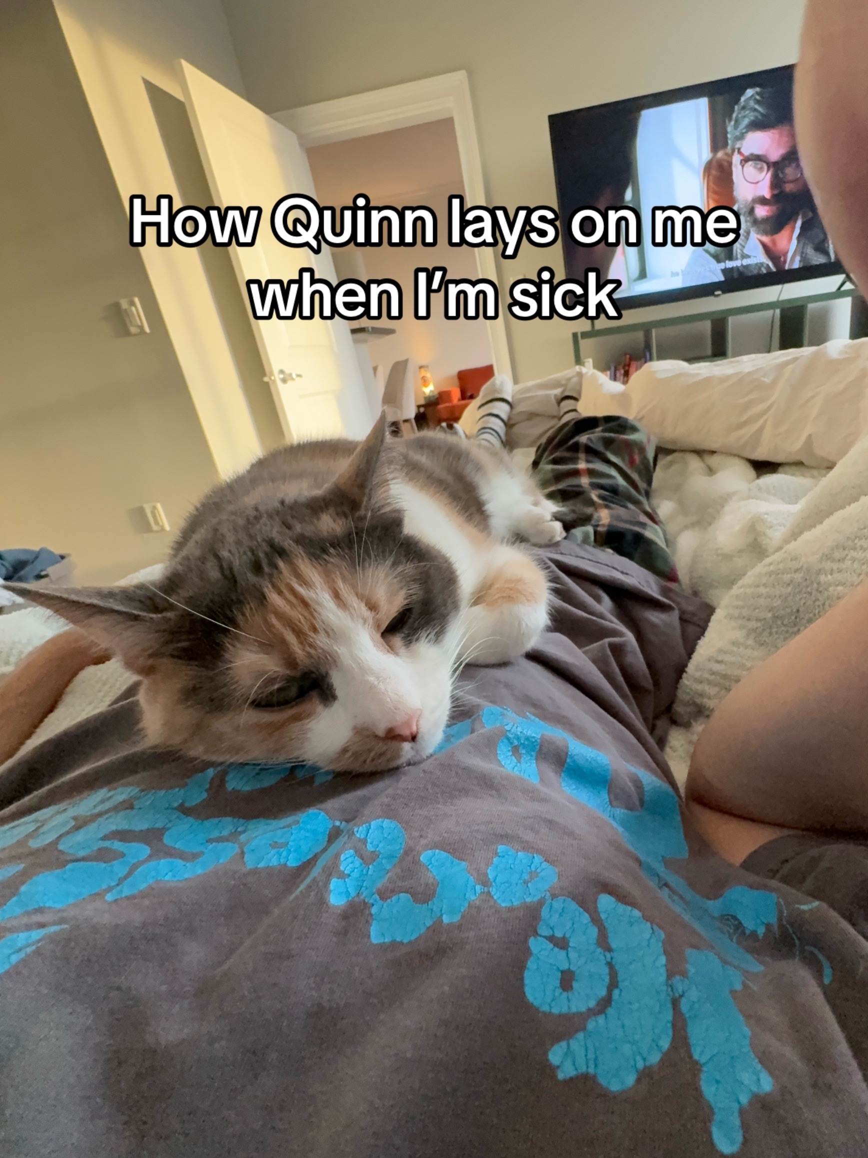 @Quinn The Calico