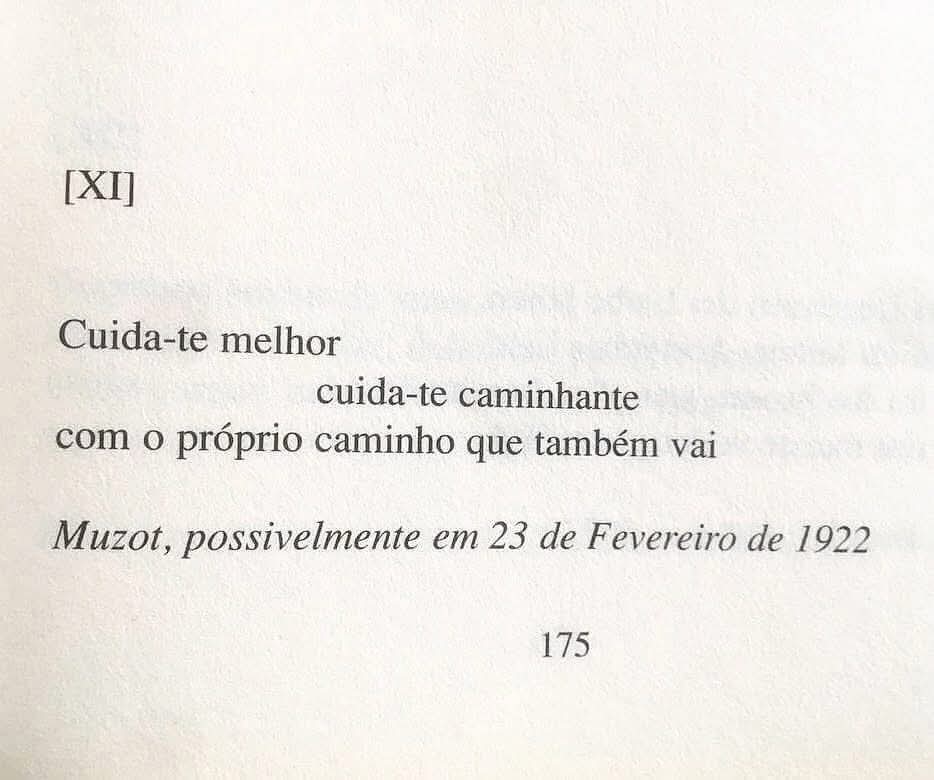 @Dr Vin&iacute;cius Ribeiro