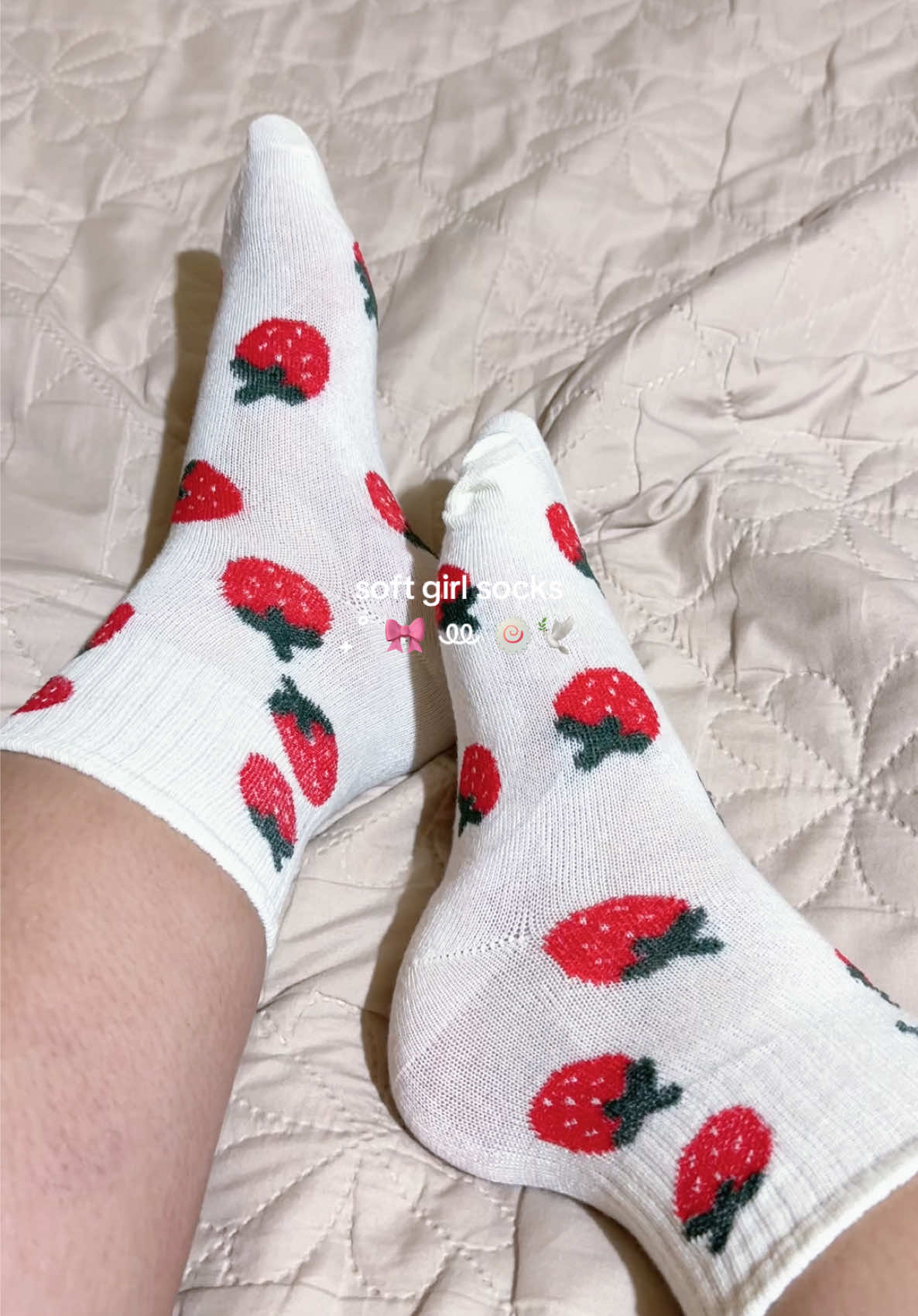 @owagirl ~ plussize girlie 🧸ྀི