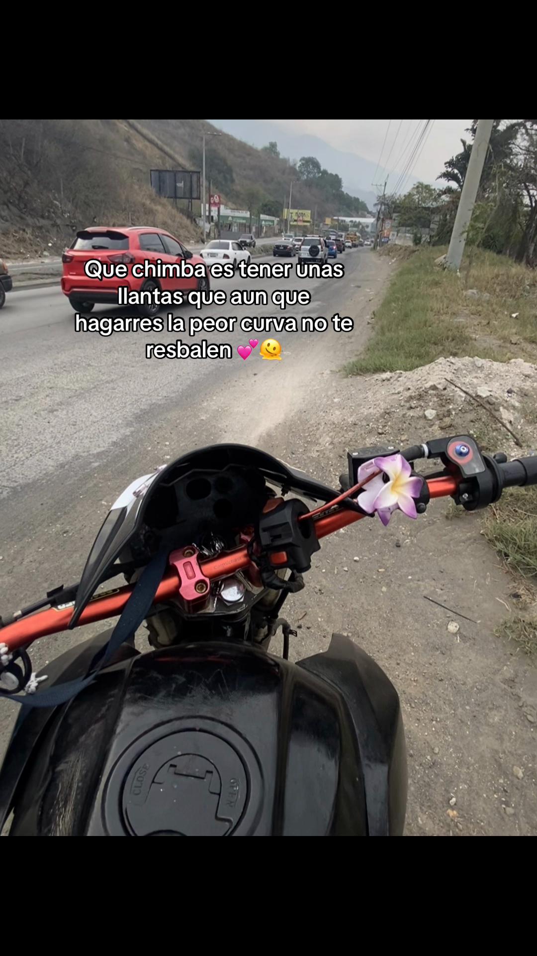 @EL PANTERA