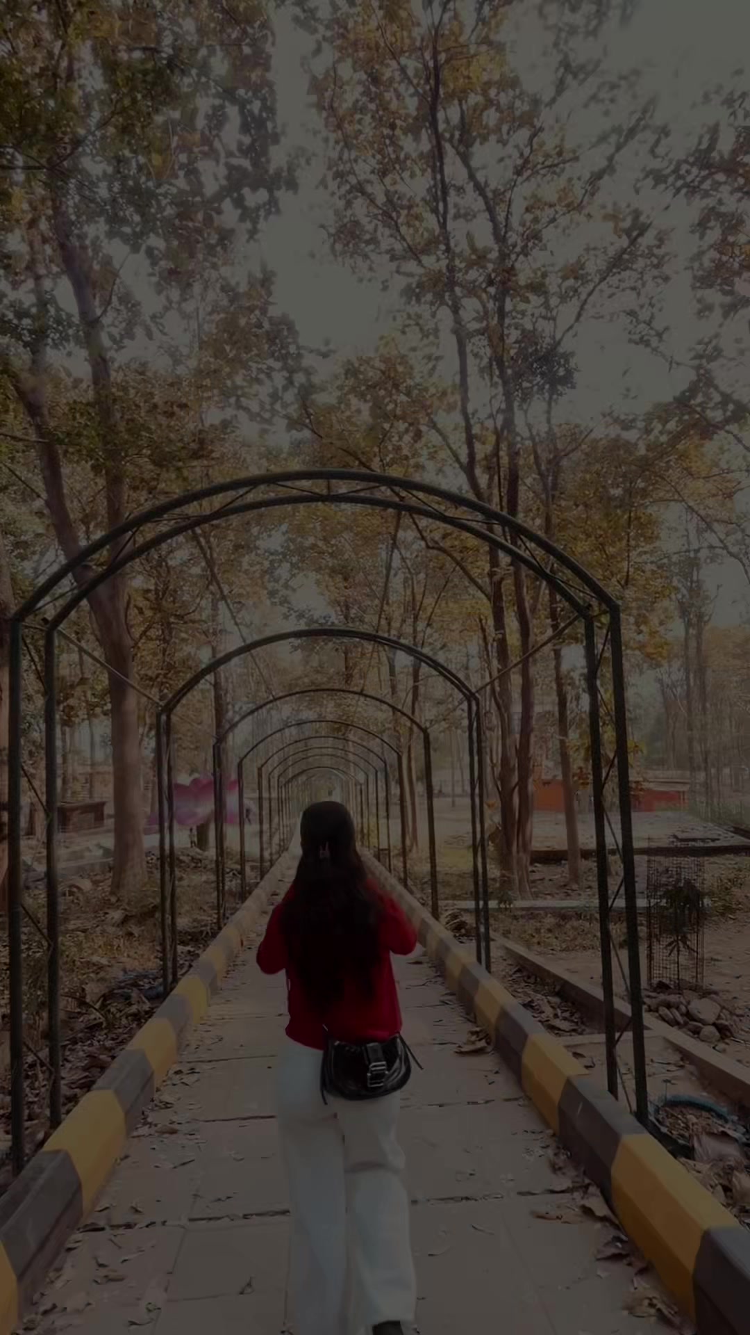@🫧