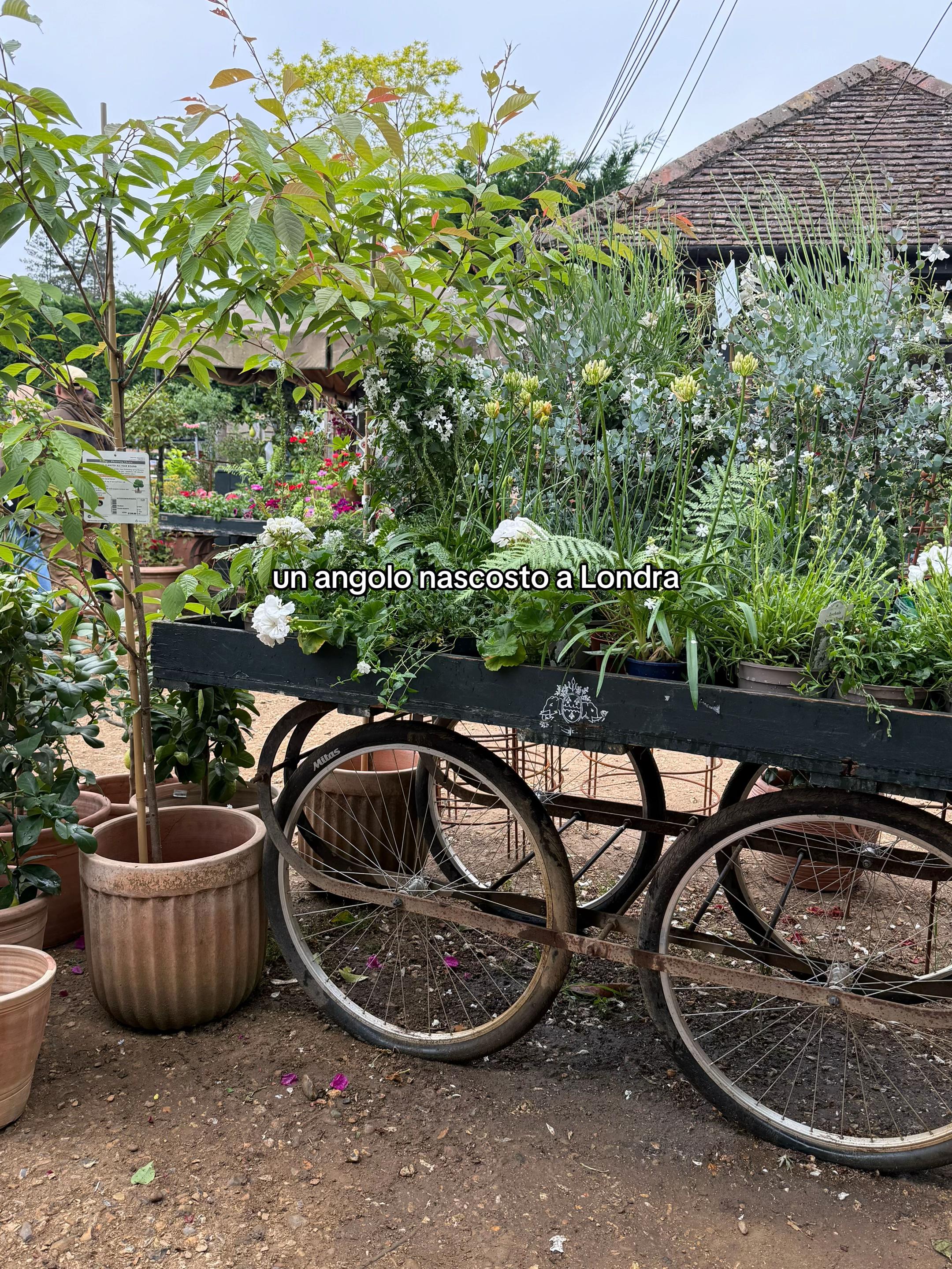 @Giulia Parise