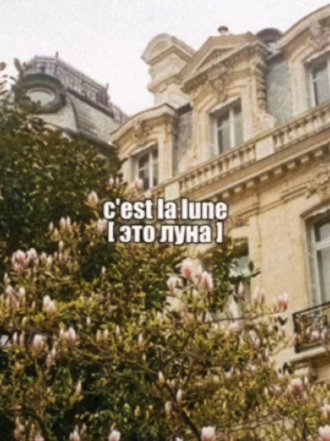 @..marxx_