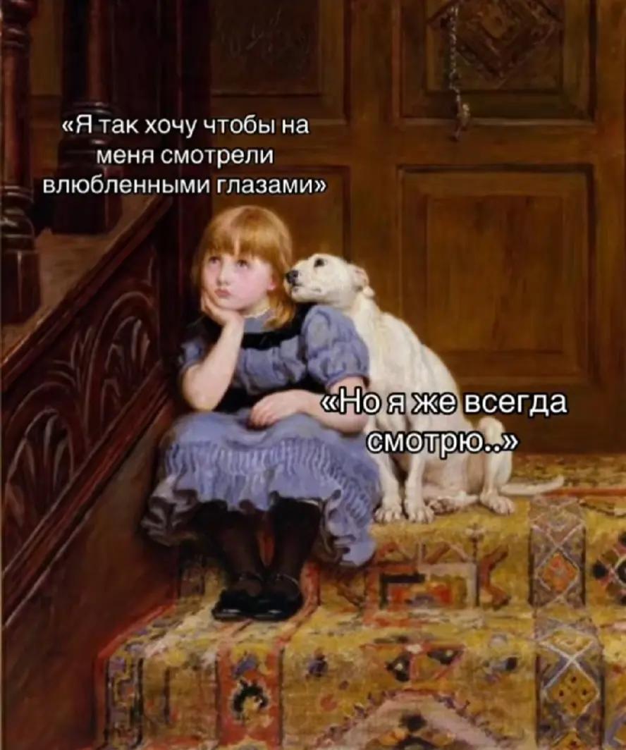 @Текахика🦢