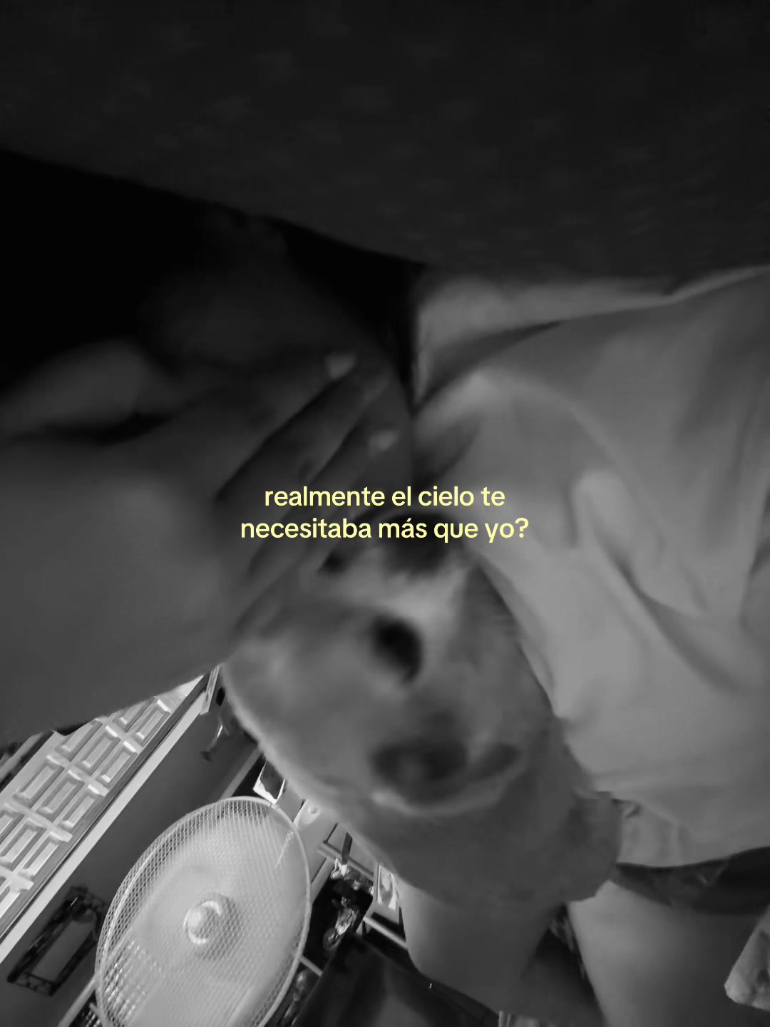 @giselaalayon_