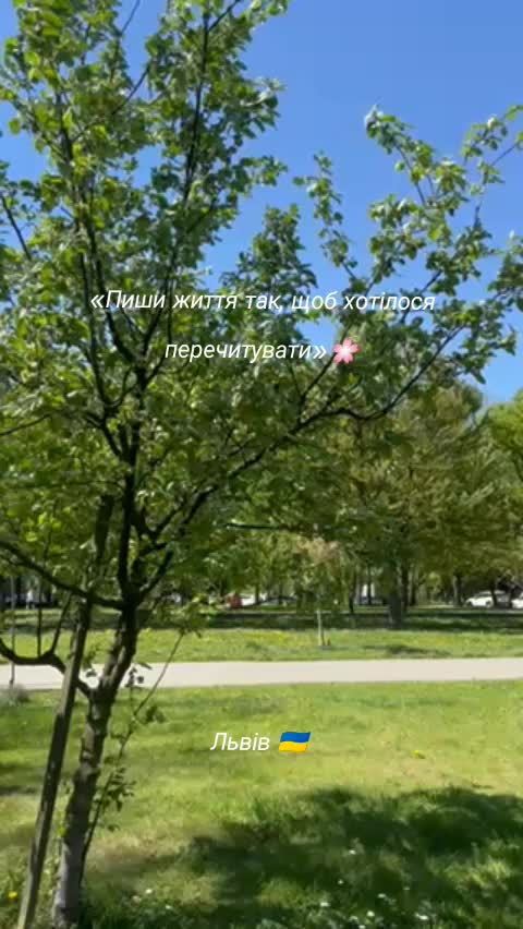 @꧁༺🍃 🌸Оля🌸🍃༻꧂