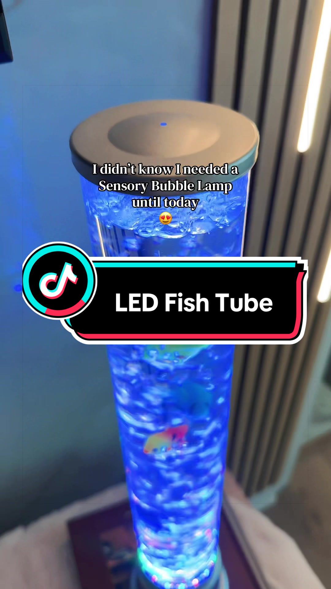 @TikTok Shop Cool Buys ✅
