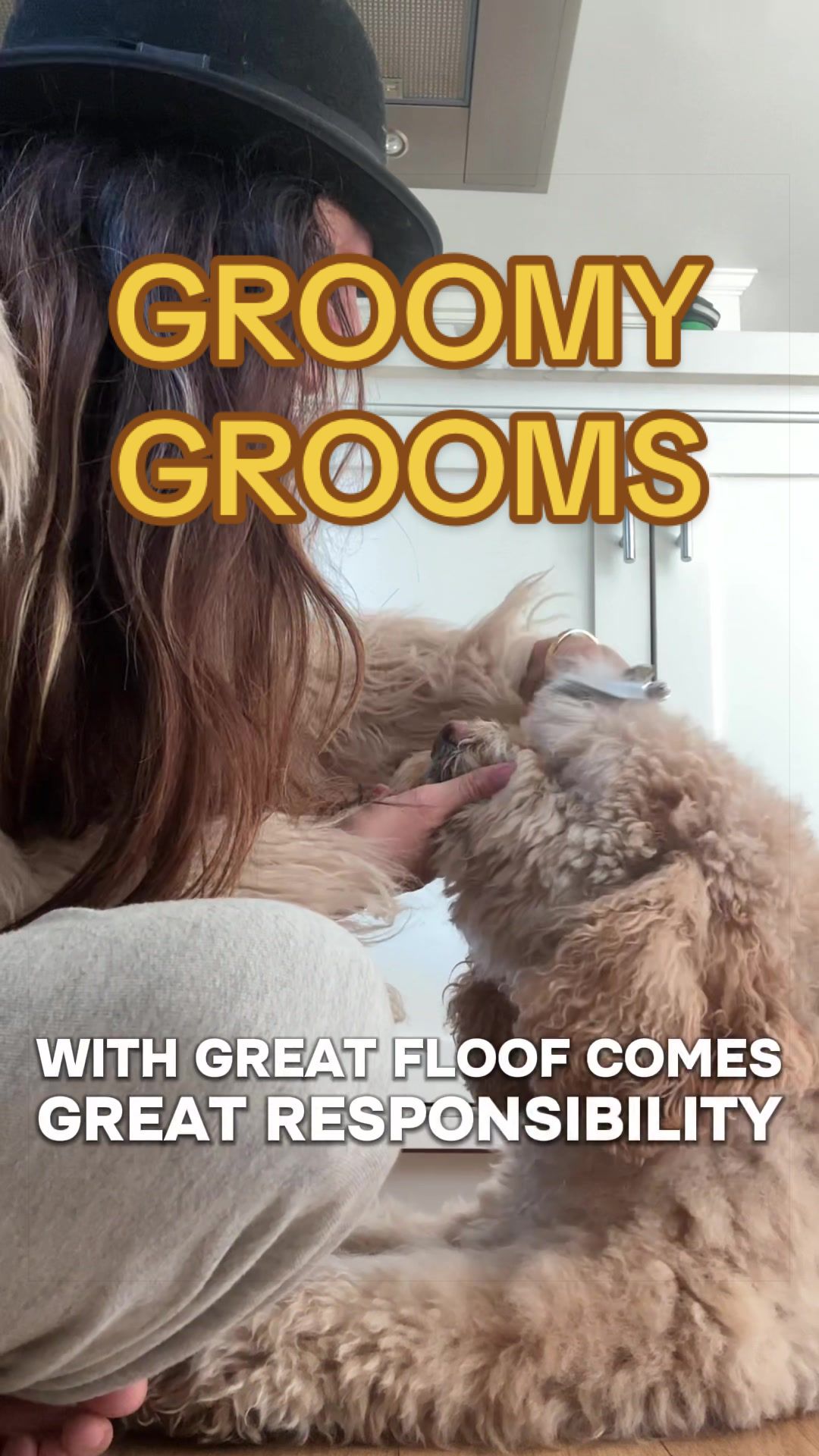 @Lady & the Floofs