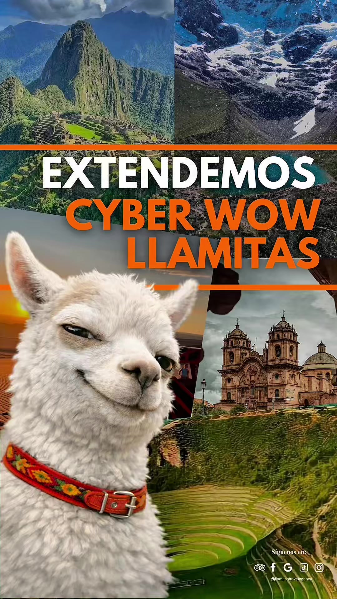 @Llamitas Travel Agency