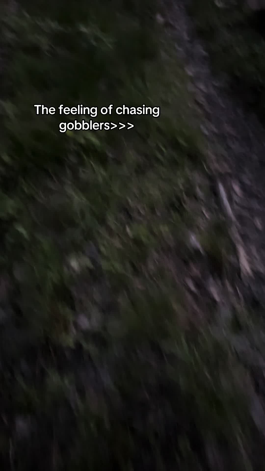 @kirkendolloutdoors