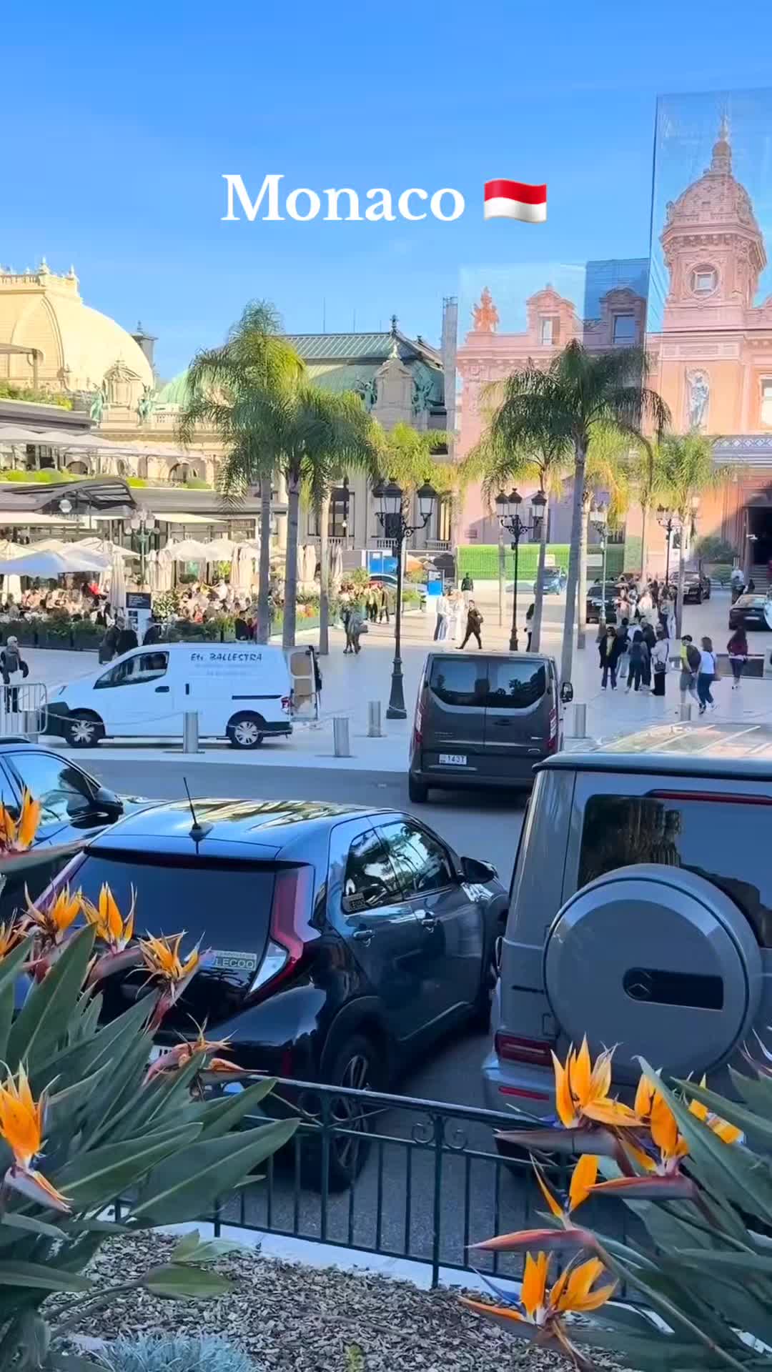 @Lion 🇦🇹