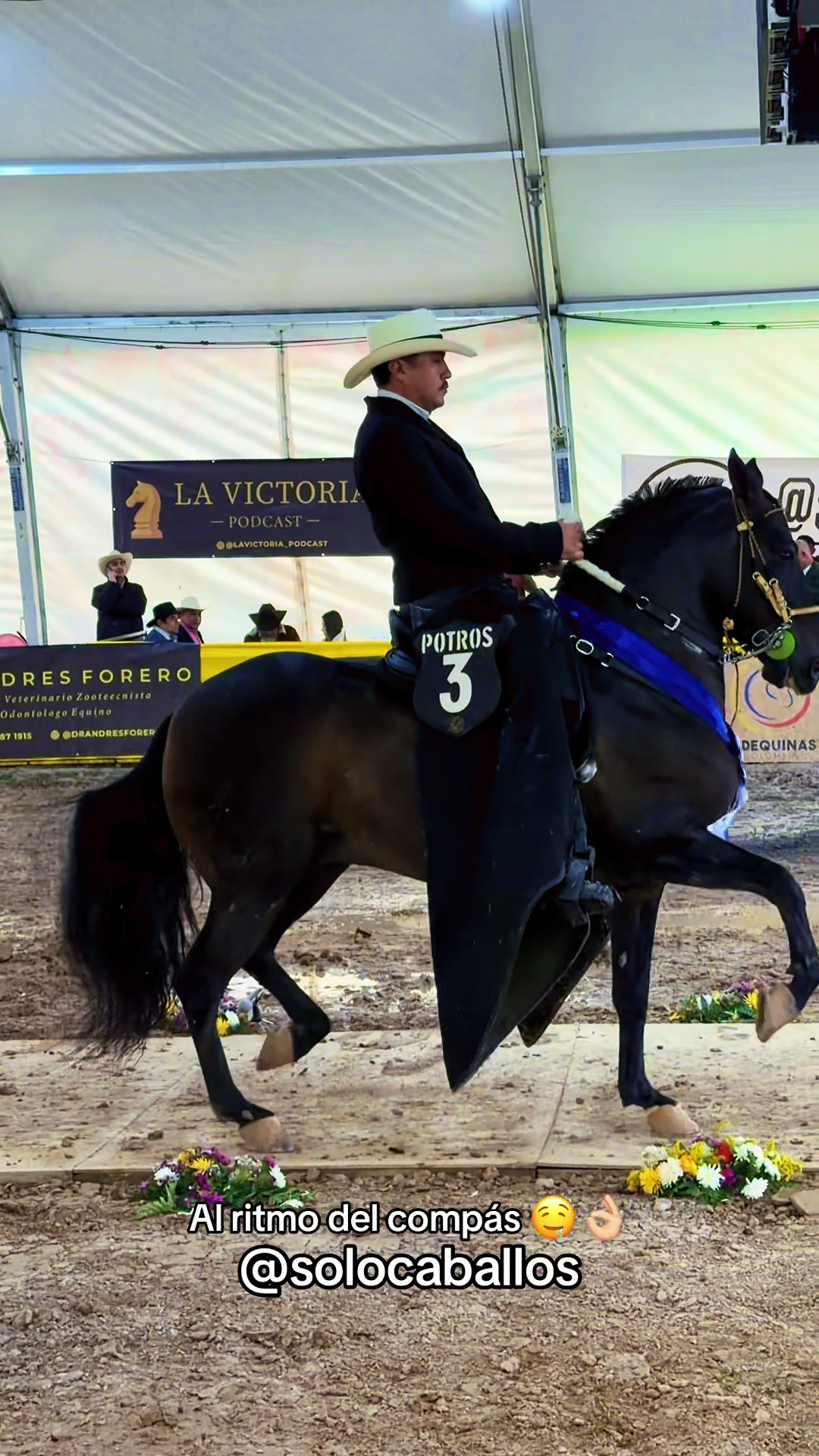 @Solo Caballos
