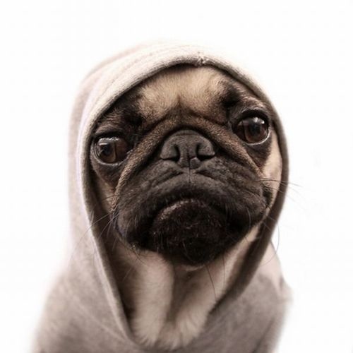 @Никита