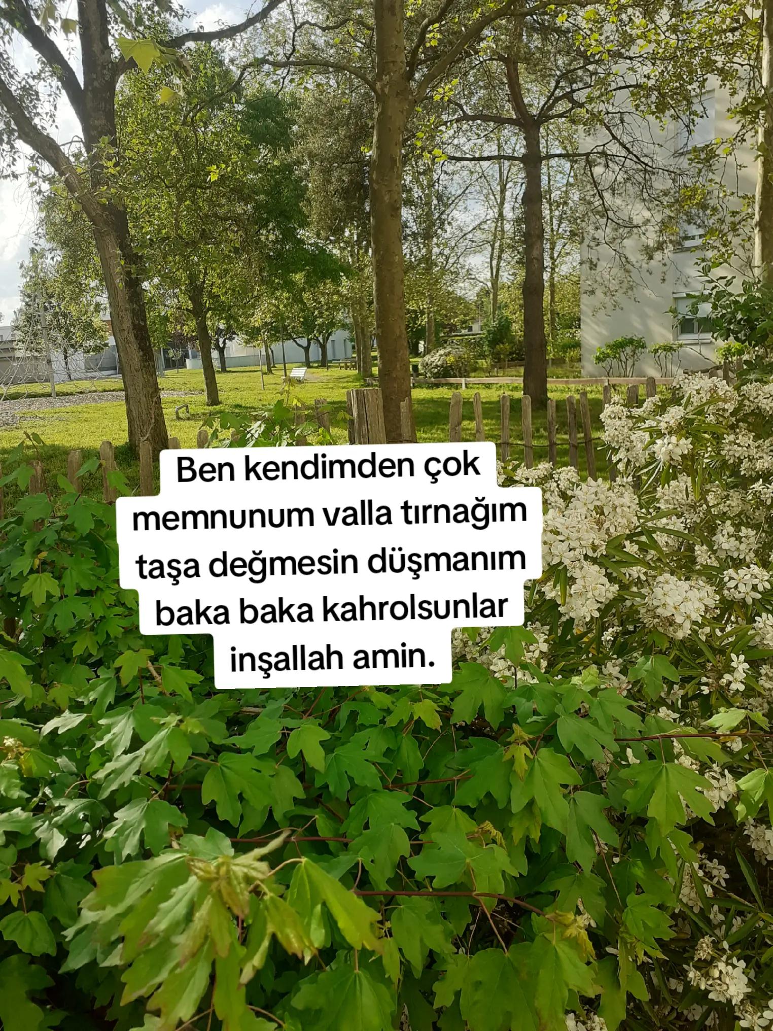 @🌸SEMRA🌸