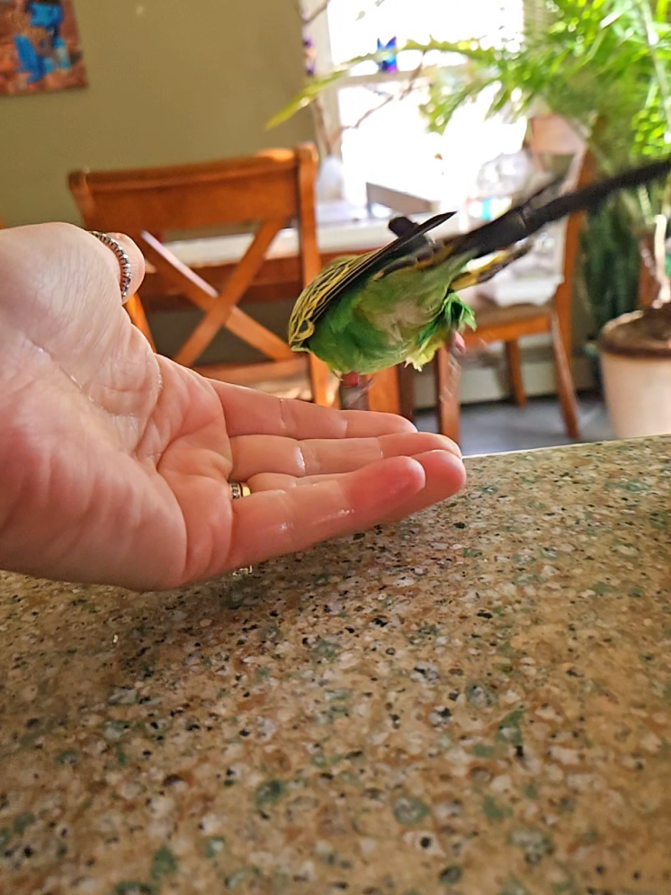 @Run Slow-Mo Charlie🦜