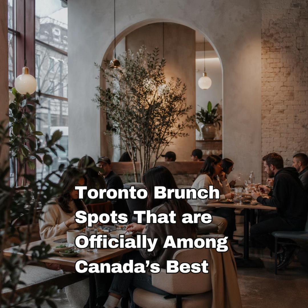@TodoToronto