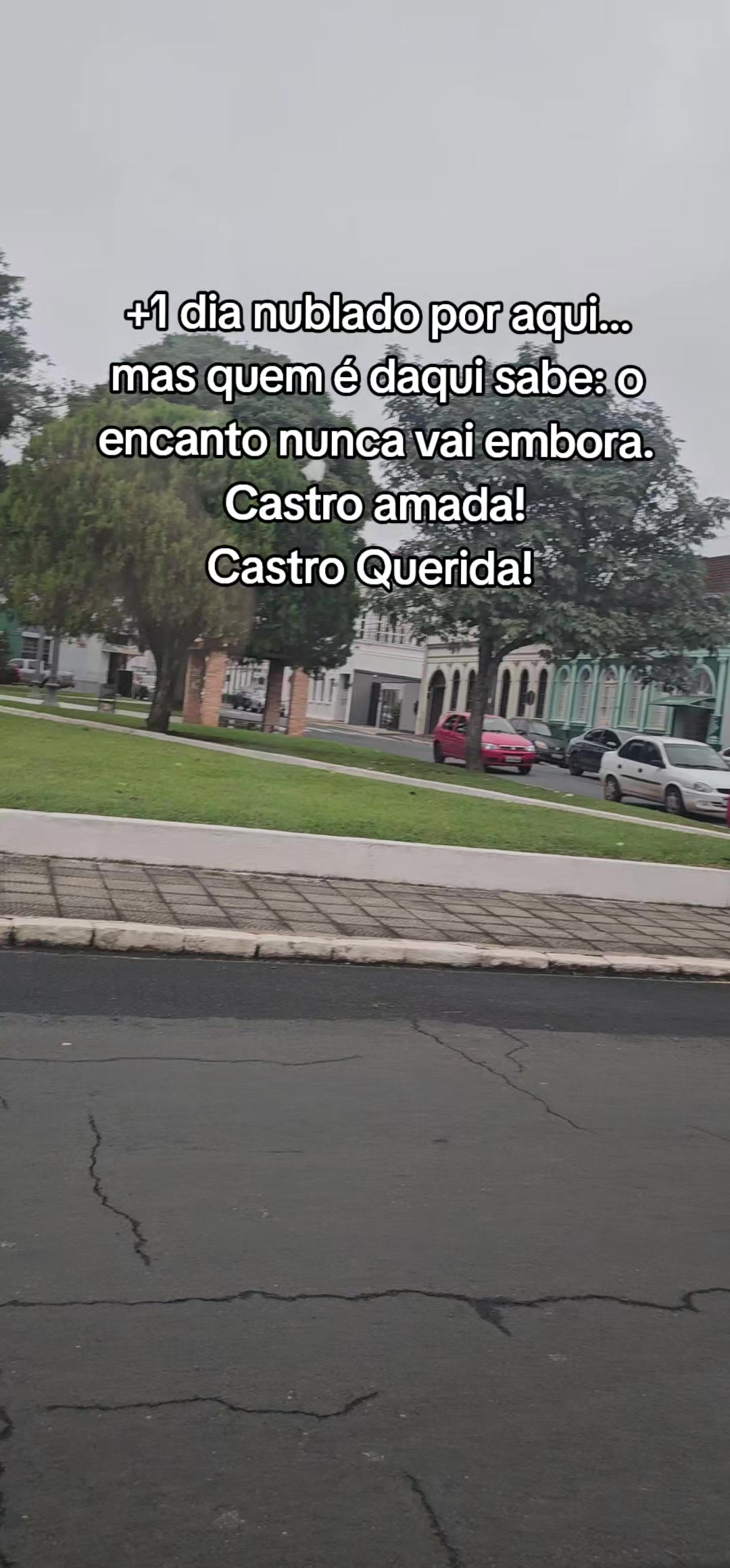 @Aline Matsen