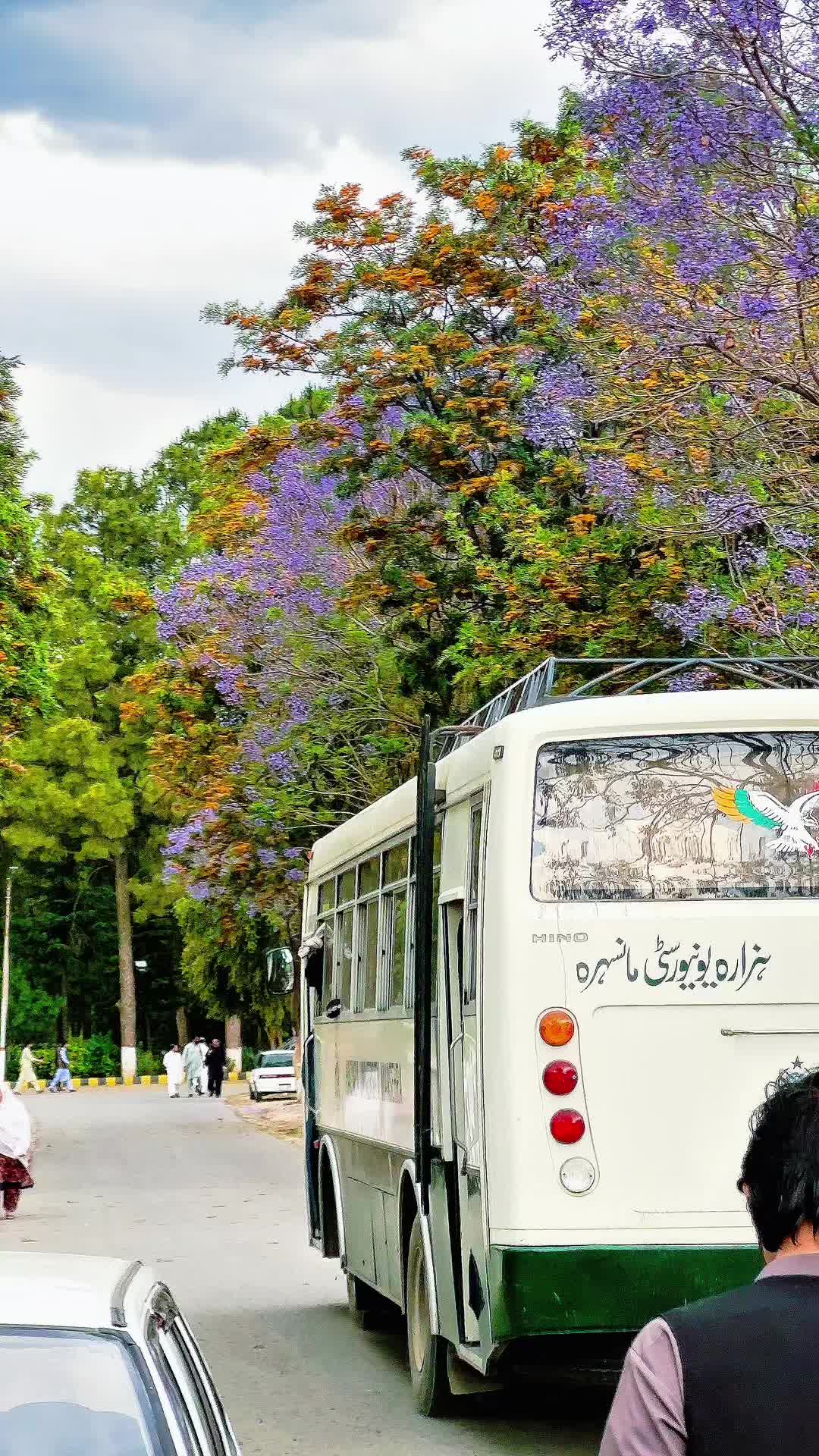 @Mahaz Taqi
