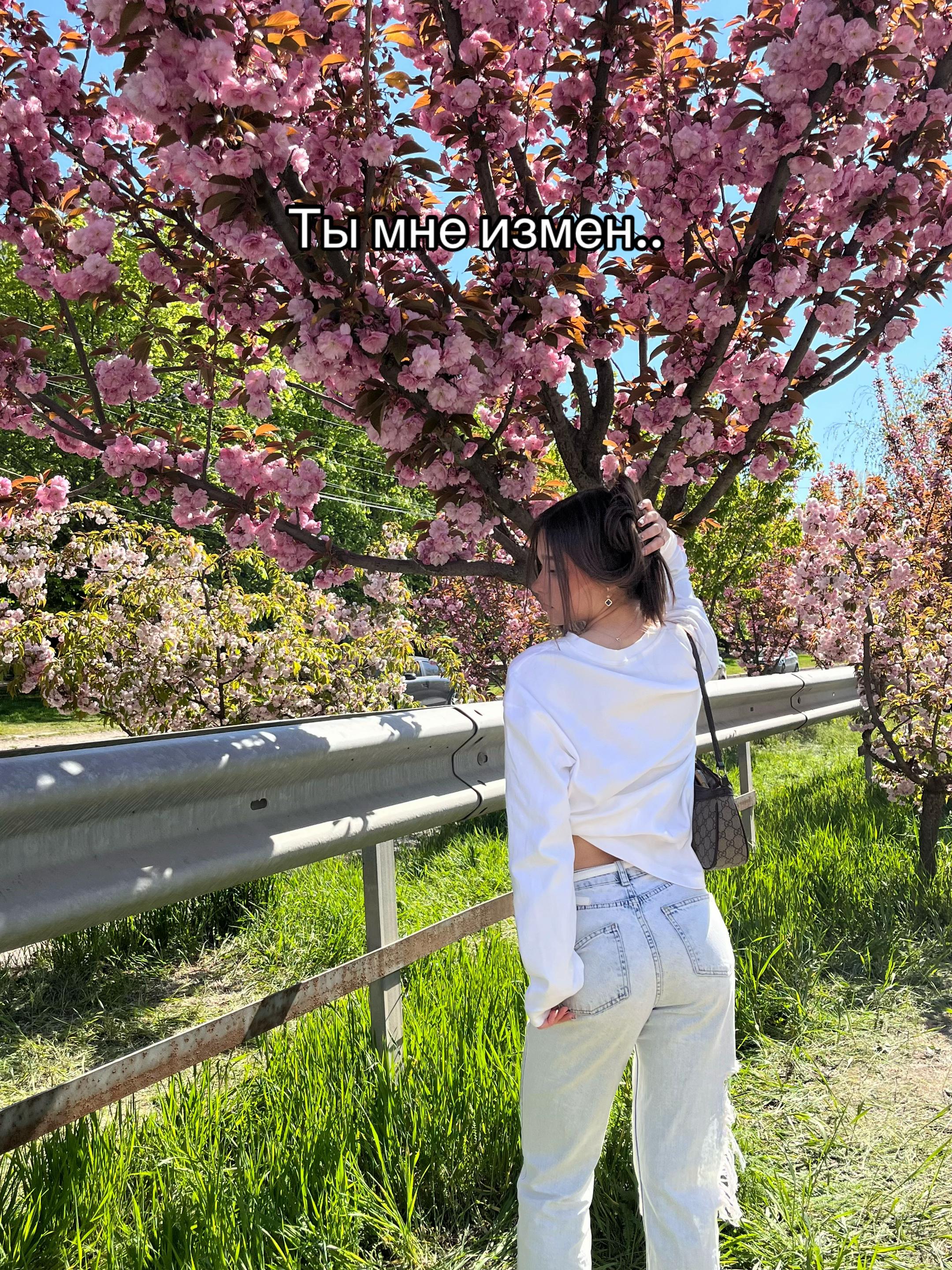 @тгк: jiemi1su🪽