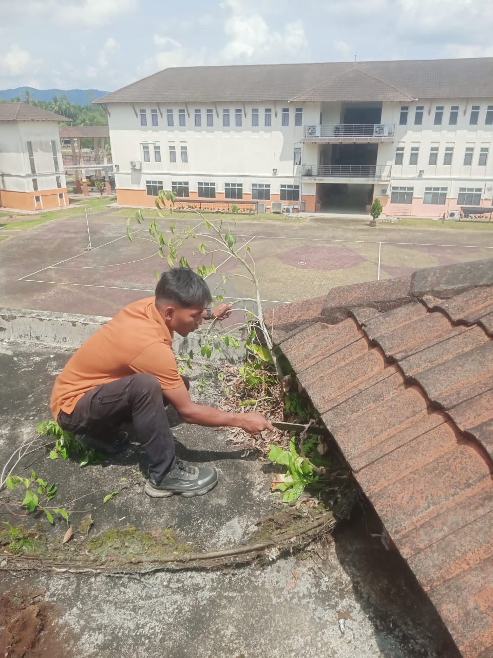 @irfan belah