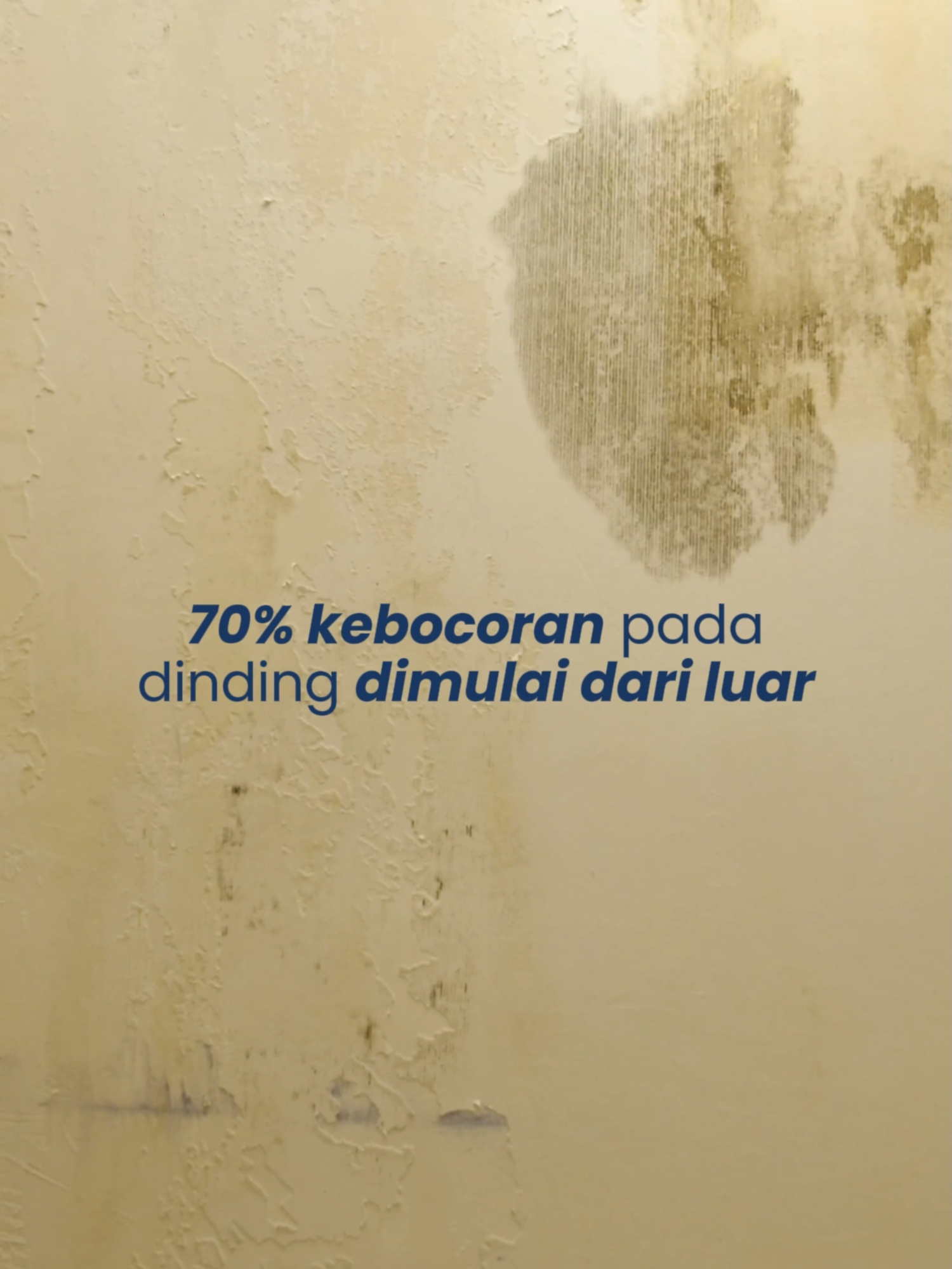 @weldonwallpaint