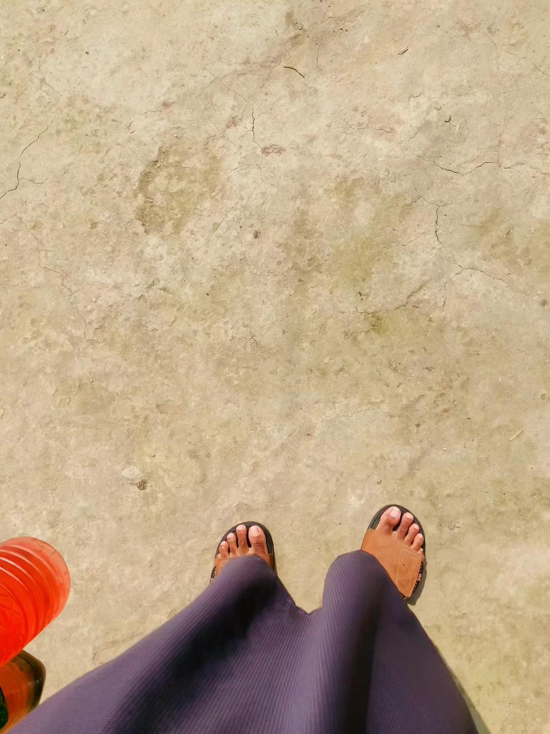 @She1kh S14M 🛸