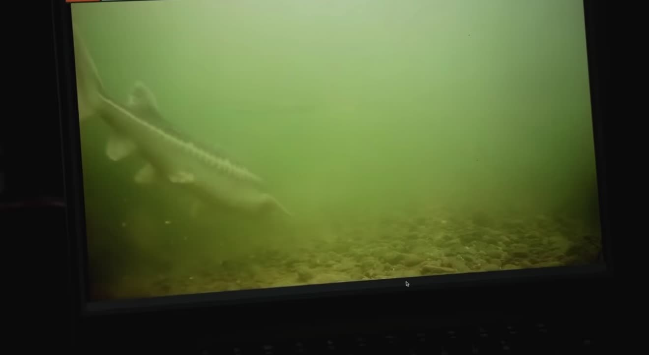 @endlessfishing